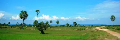 Phnom Kulen Waterfall & 1000 Linga River Small-Group Day Tour from Siem Reap