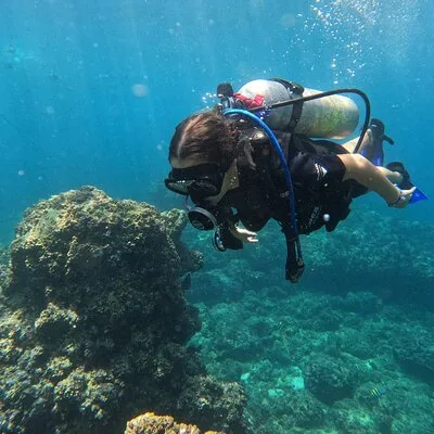 Diving exploration for beginners in Los Arcos de Mismaloya