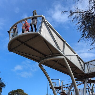 Historic Leschenault Inlet & Dolphin Sundowner Run - 5K ish
