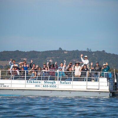 Elkhorn Slough Safari