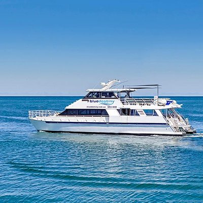Blue Destiny Boat Charters