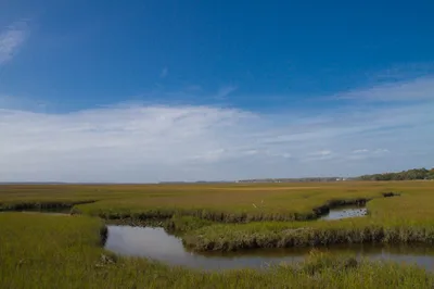 Amelia Island Eight Flags Road Tour in Jacksonville