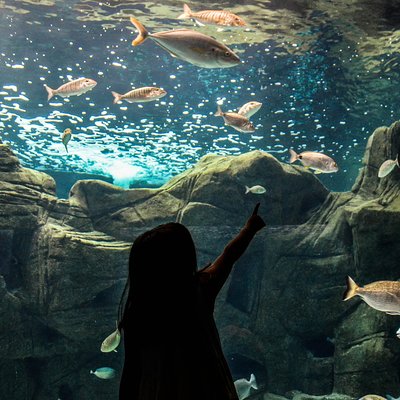 CRETAquarium Thalassokosmos