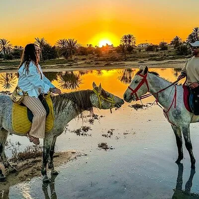 Horseback riding or camel at sunset in Djerba
