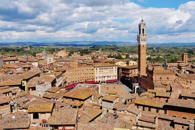 Siena Medieval Charm Private Walking Tour with Basilica San Domenico, Piazza del Campo & Cathedral, 2-3 Hours