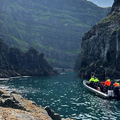 1 Hour Iceland Nature and Wildlife RIB Small Group Guided Safari