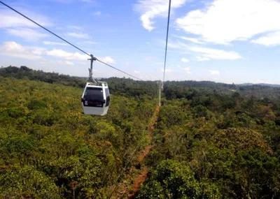 Medellín Coffee Tour and Spa with Arví Park Minivan Route and Ancestral Coffee Experience