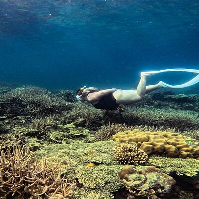 El Nido Adventure Tours