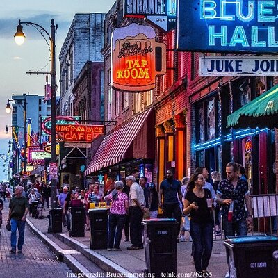 Memphis History & Heritage: Private Half-Day Walking Tour