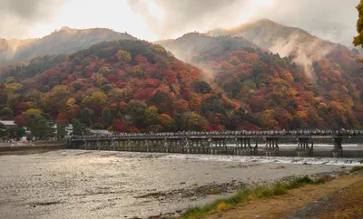Kyoto Arashiyama Walking Tour: Bamboo Forest, Tenryuji Garden, Okochi Sanso & Monkey Park