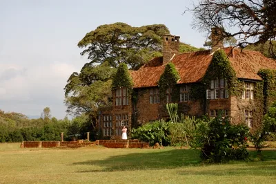Elephant Orphanage and Giraffe Centre Day Tour in Nairobi