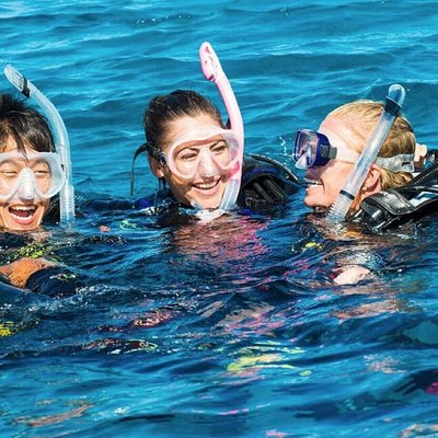 Discover Scuba Diving Experience