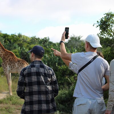 Giraffe Tracking 4x4 Safaris