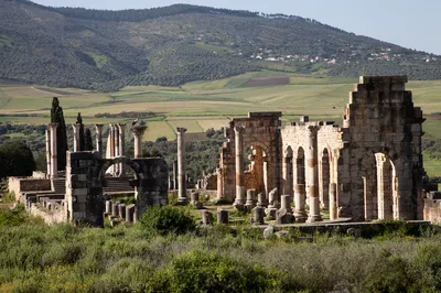 Historical Full-Day Meknes Volubilis and Moulay Idriss Tour from Fez