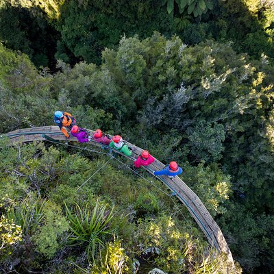 Rotorua Canopy Tours