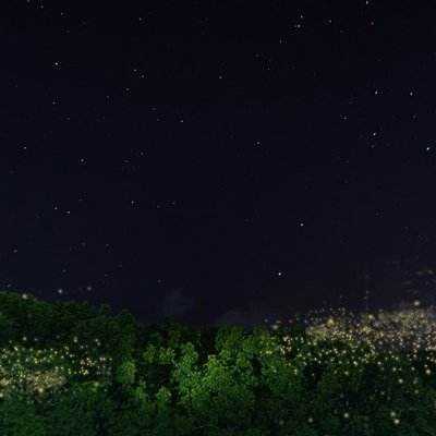 Johor Desaru Coast Firefly Afterdark River Cruise