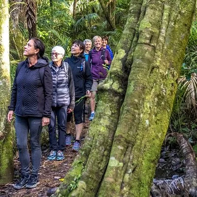 Waiheke Island Private Forest Bathing Walk