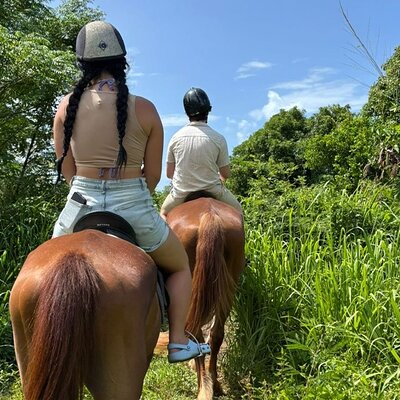 Antigua Horse Ride and Swim