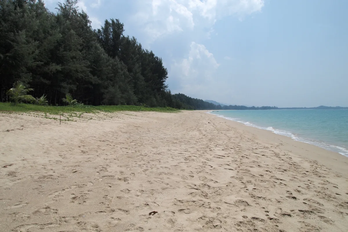 Thai Cooking Class in Khao Lak with Amazon Prime Series Chef Wandee Rathanapan