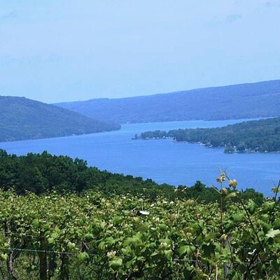 Crush Beer & Wine Tours