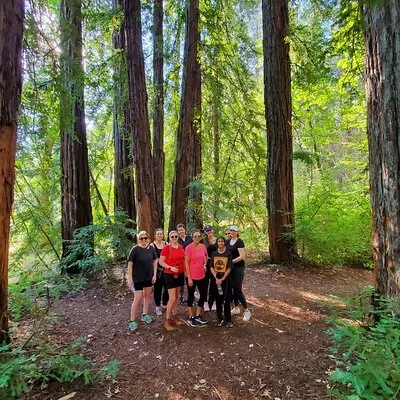 Napa Valley Redwood Hike