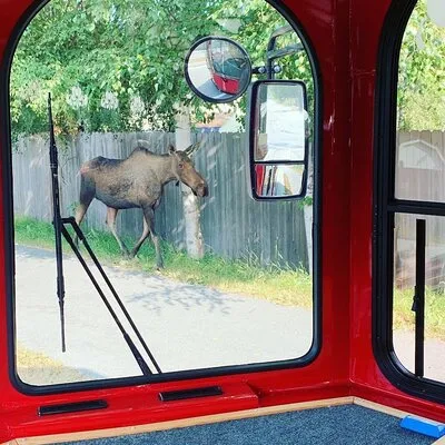 Anchorage Trolley Tours