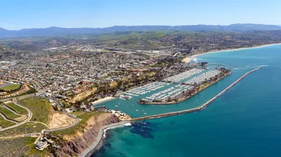 Dana Point Up-Close Dolphin & Whale Watching 2-Hour Zodiac Adventure