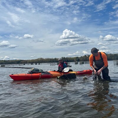 Oyster Tasting and Kayak Tour
