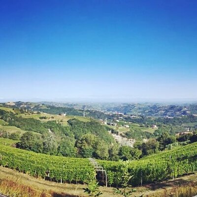 Langa Wine Tour