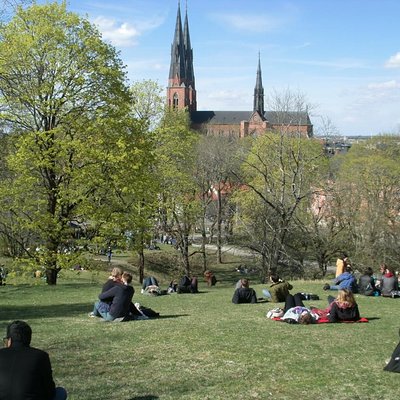 Swedish Lifestyle and Private Walking Tour of Uppsala