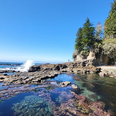Island Trails Ecotours