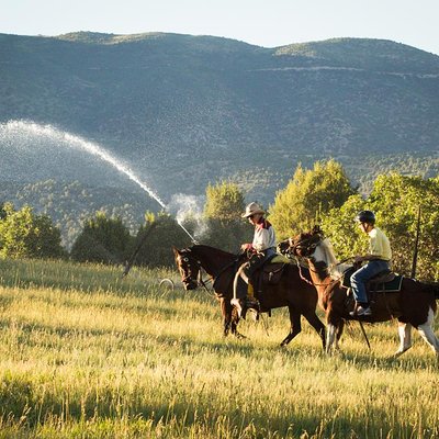 2 Hour Horseback Ride