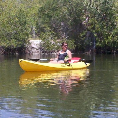 One Single Kayak Rental for 2 hours with Manatee & Dolphin sightings!