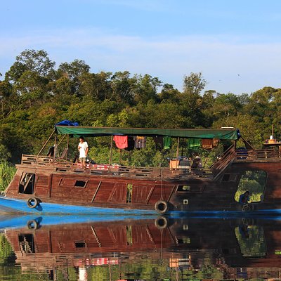 Borneo Primate Tours