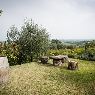 Wine Tour Experience at Agricola Tamburini