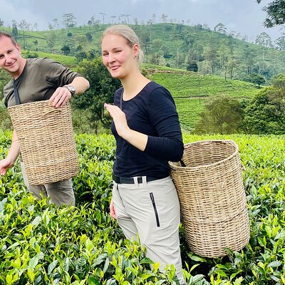 Titan Tours Sri Lanka