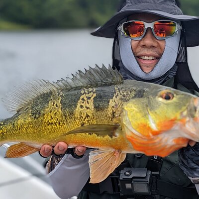 Panamafishingtrip on gatun lake