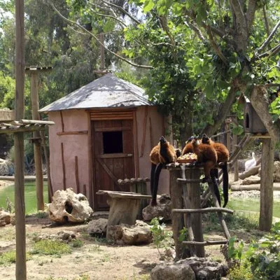 Zoo de Lagos