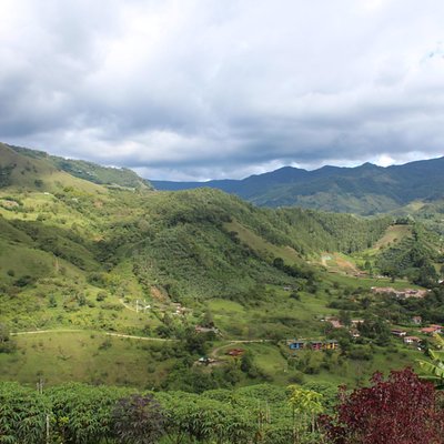 Jardín Eco Tours