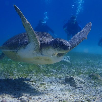 Taba Diving Centre