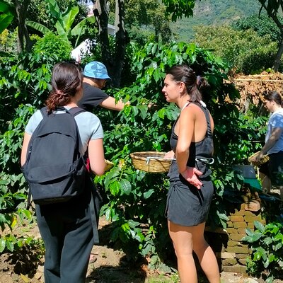 Coffee Tour in Lake Atitlán