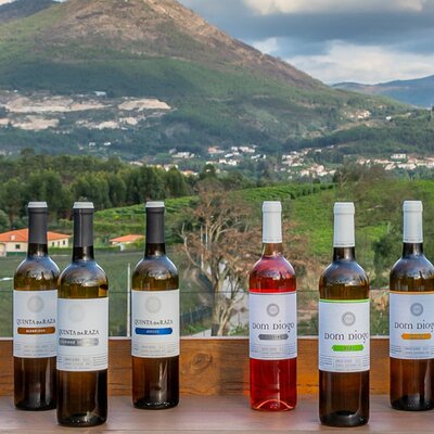 Customized Wine Tasting: Your Choices