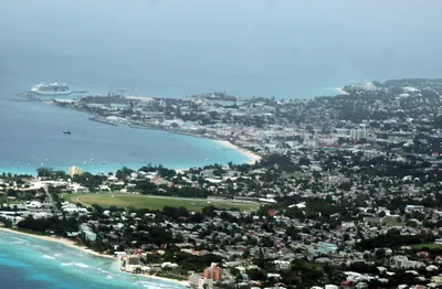 Barbados 2-Hour Turtle Feeding, Shipwreck and Reef Snorkeling Tour from Bridgetown