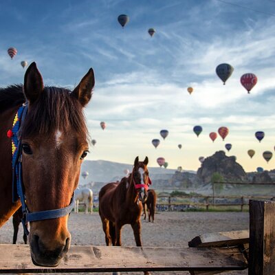 Travel Teller by Expertas Travel