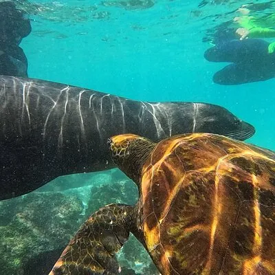 Galápagos Ninfa Tour