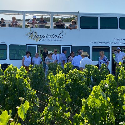 Private Tour of Epernay and Vineyards by Bus with Champagne