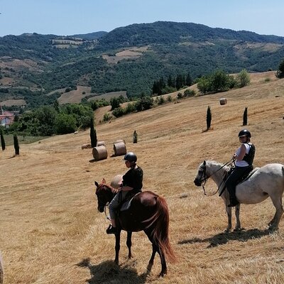 Horseback Ride through the Emilian Hills from Vergato