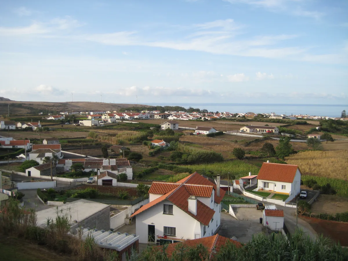 Porto Wine Tasting and Tapas Walking Tour with Douro Valley Wines