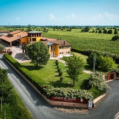 Guided Tour and Wine Tasting in the Sandro De Bruno Winery