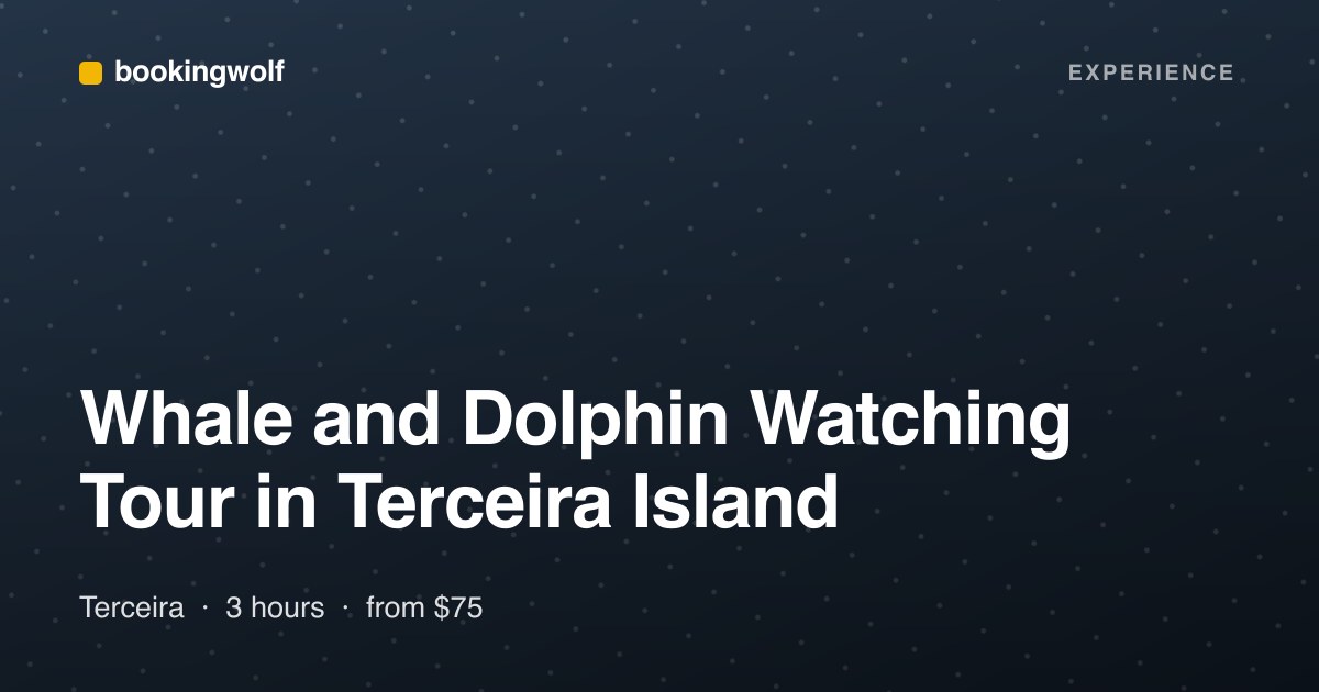 Whale and Dolphin Watching Tour in Terceira Island